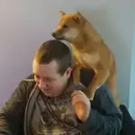 Stijn